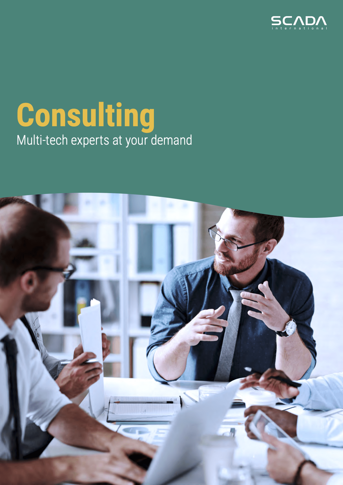 Consulting brochure