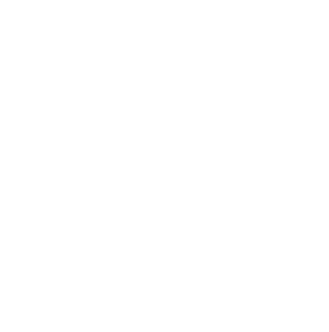 automatic power control icon